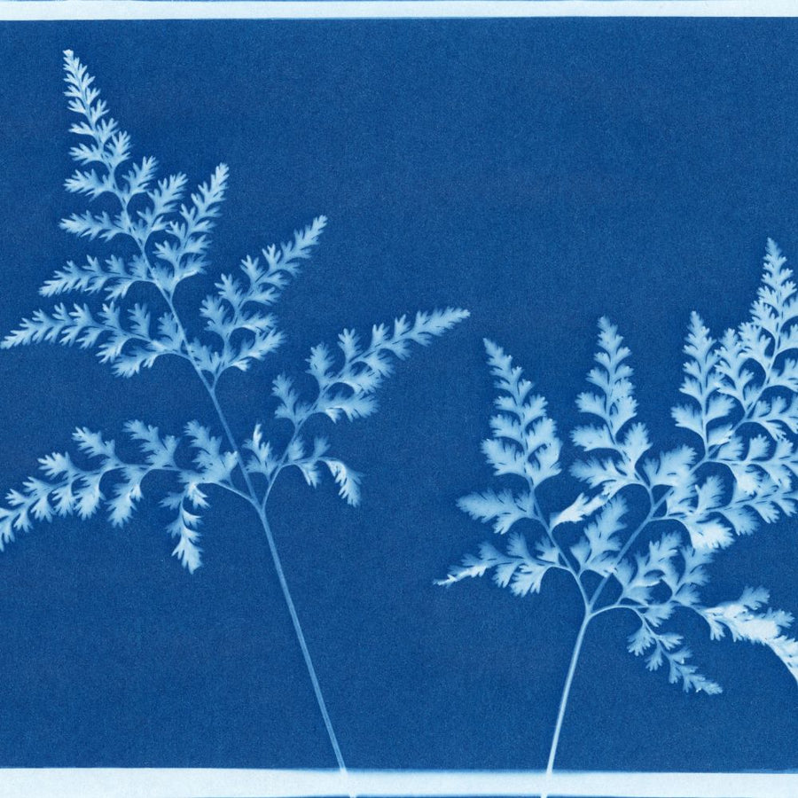 Cyanotype Craft Kits For Kids