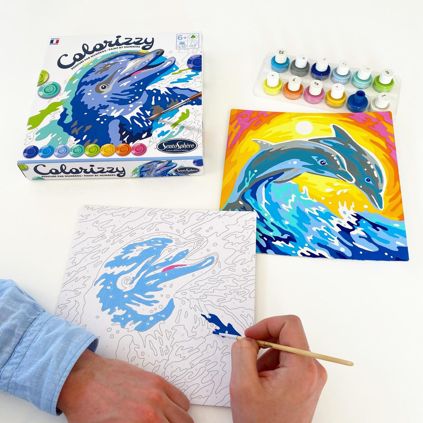 Colorizzy Painting By Numbers Dolphins
