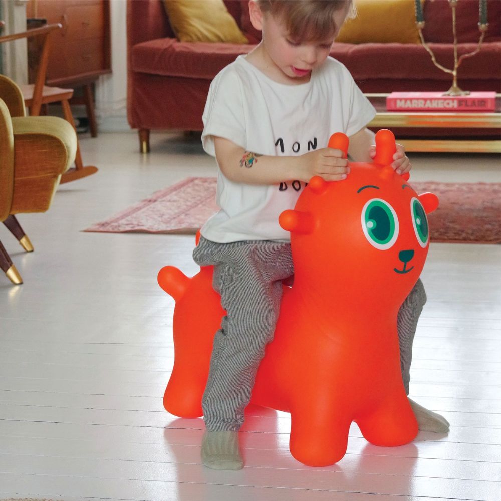 Djeco Sunny Jumper - Toddler Space Hopper DJ00184