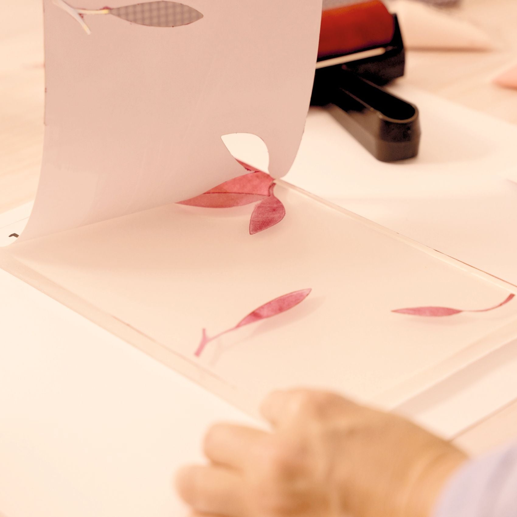 Djeco Atelier Grands Augustins - Workshop 46 Gel Printing