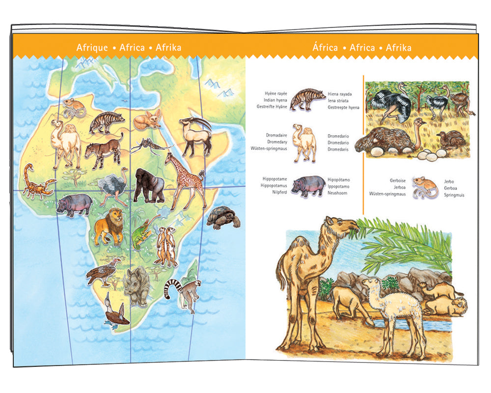 Worlds Animals & Booklet - Djeco Observation Puzzle