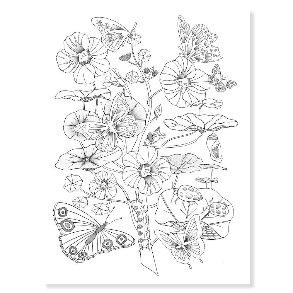 Djeco Colouring Gallery, Naturalist - 3 Posters to Colour