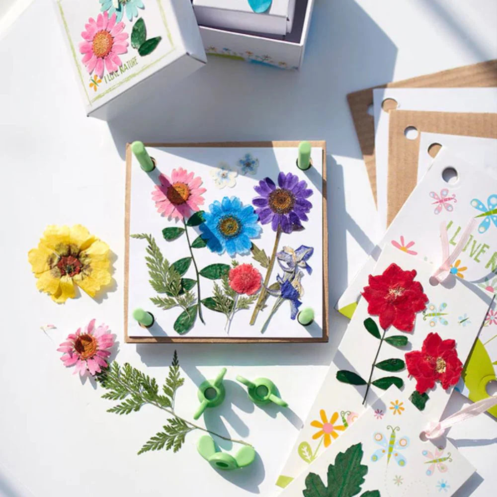 How To Press Flowers WIth Kids