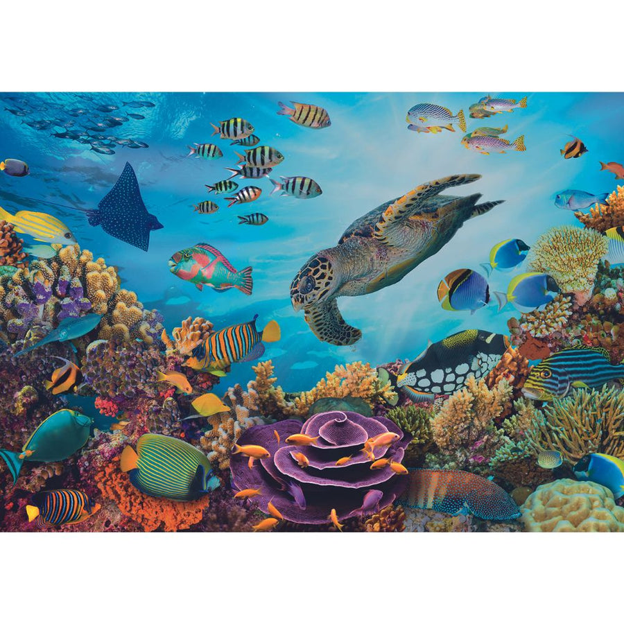 Calypto Jigsaw Puzzle 500 Piece XL - Seabed