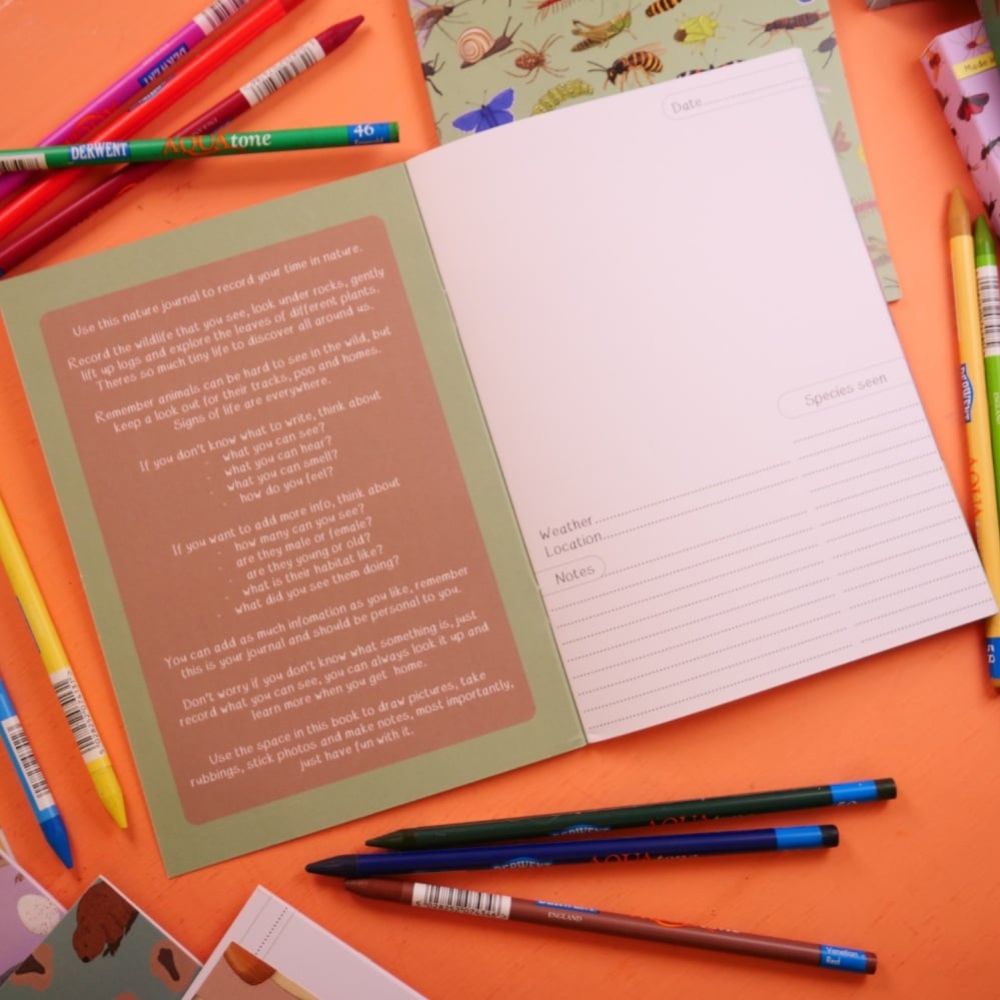 British Bugs Nature Journal