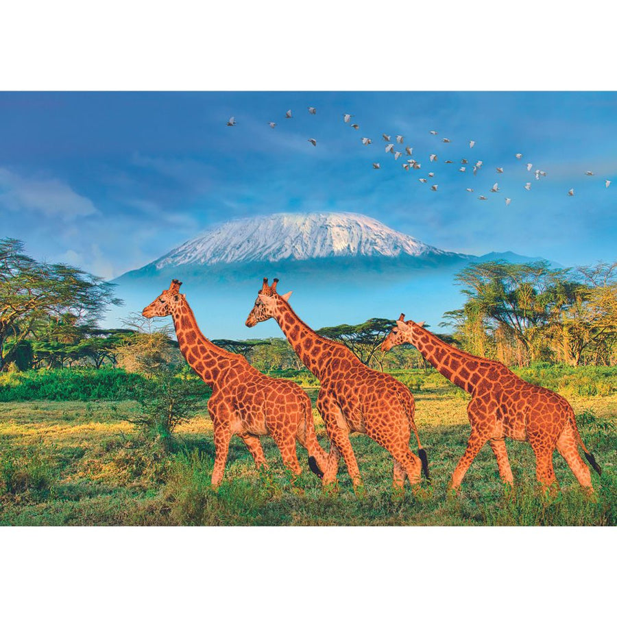 Calypto Jigsaw Puzzle 500 Piece XL - Giraffes