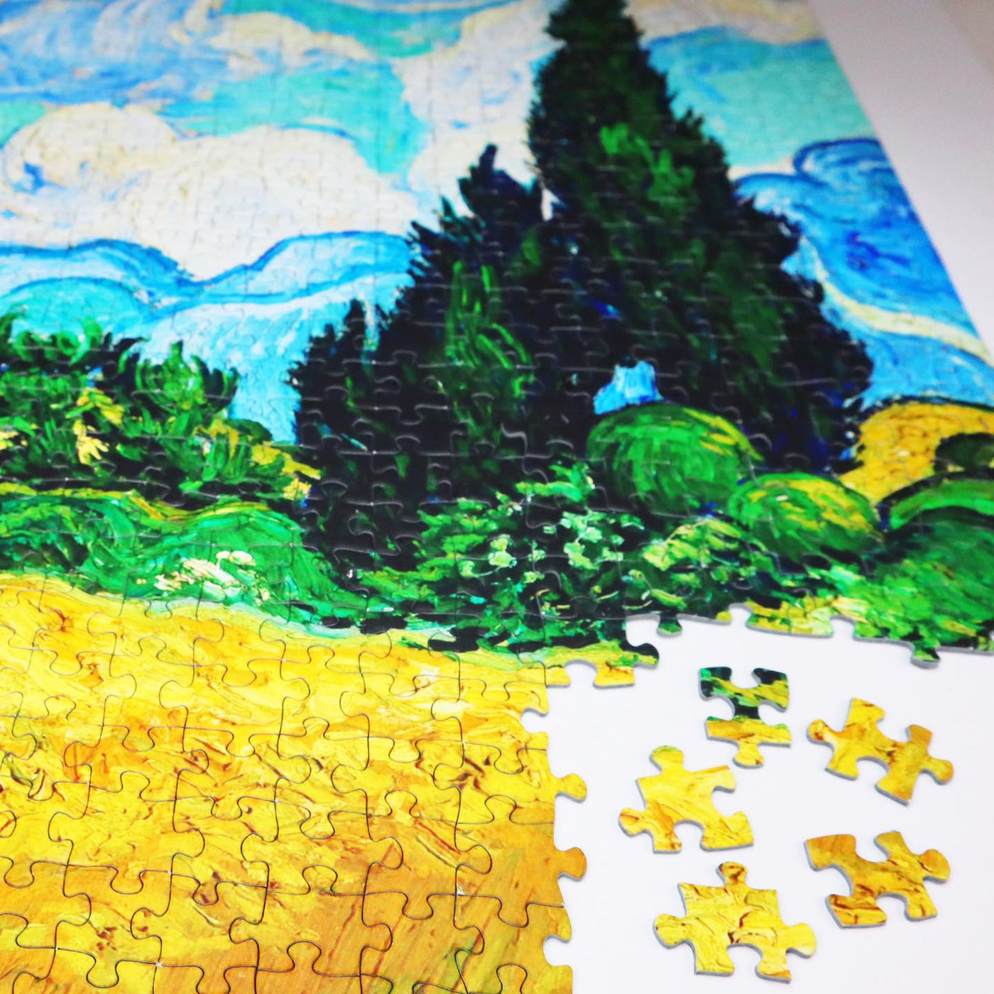 1000 piece jigsaw puzzle