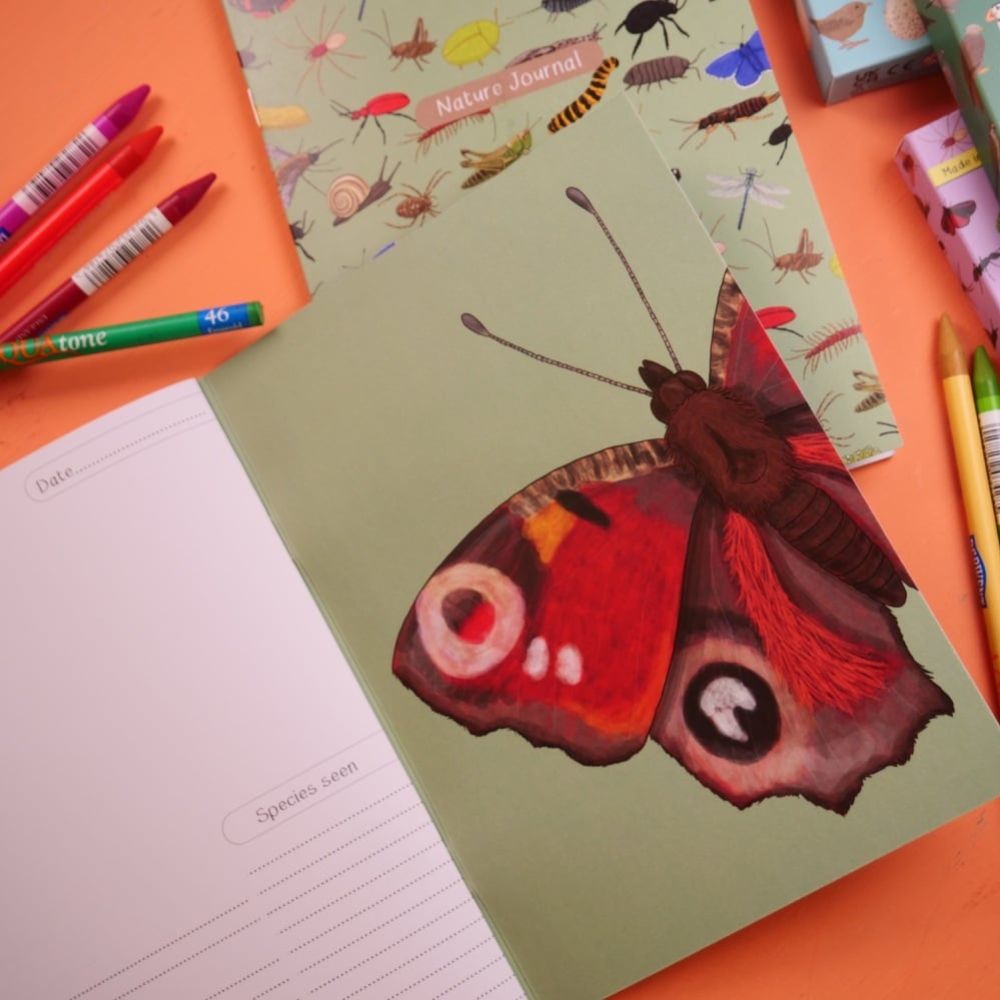 British Bugs Nature Journal