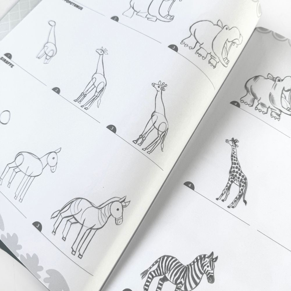 Eeboo Animal Color eeBoo Learn to Draw Wild Animals | Learn to Draw Books at Crafts4Kids ...