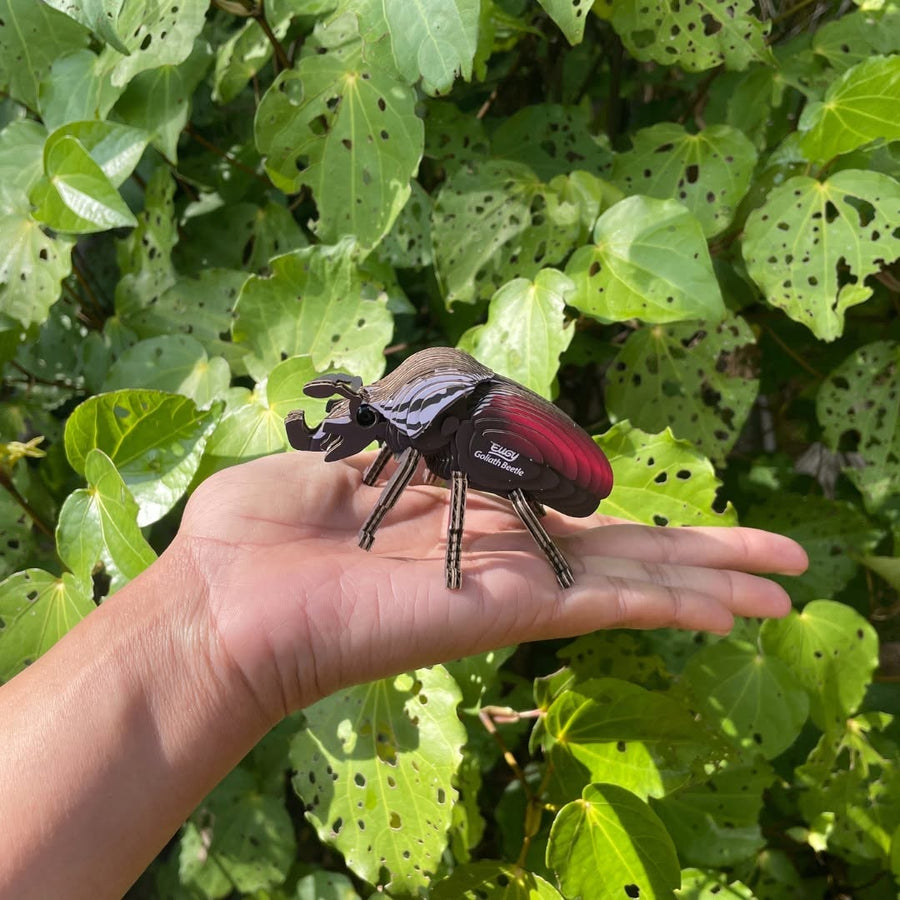 EUGY Goliath Beetle - Kids Cardboard Craft Kit
