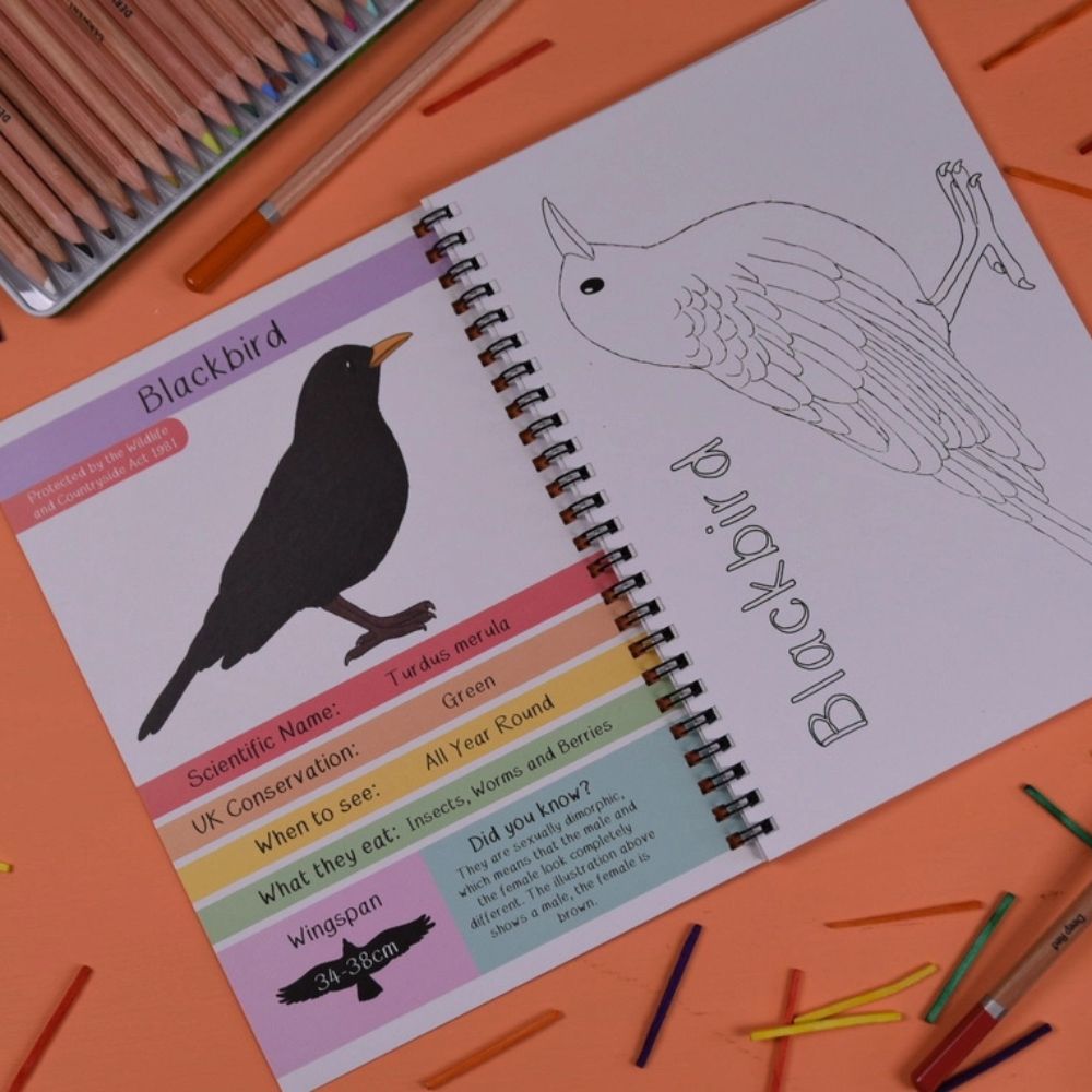 Amazing British Garden Birds Fact and Activity Book