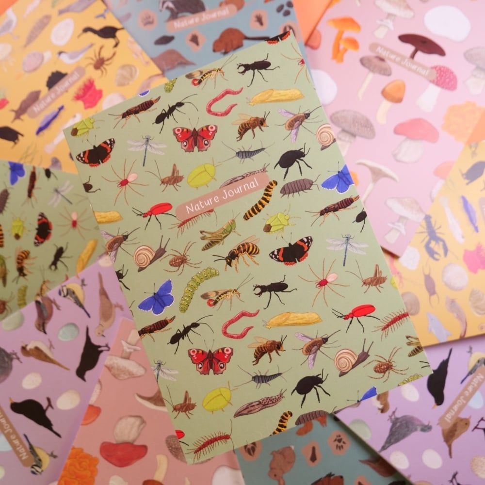 British Bugs Nature Journal