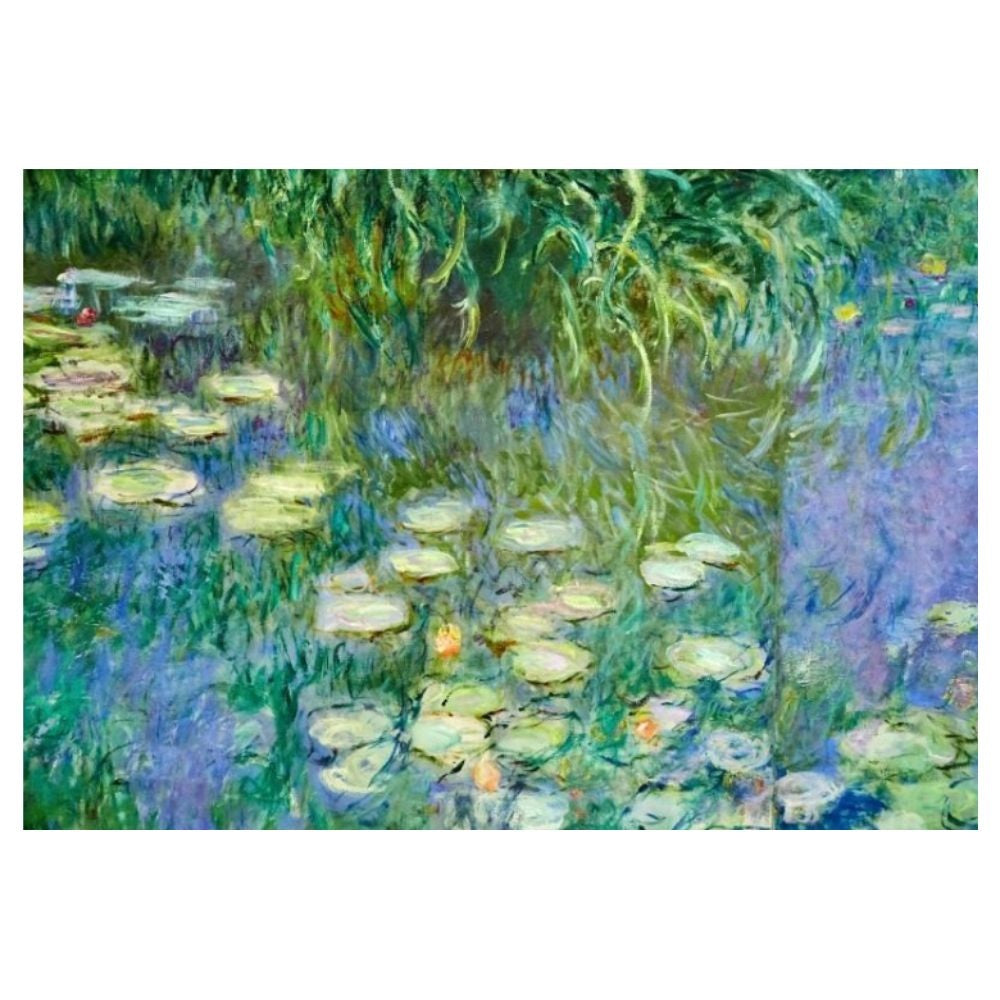 Calypto Jigsaw Puzzle 1000 Piece - Water Lilies Nymphea - Monet - Wonky