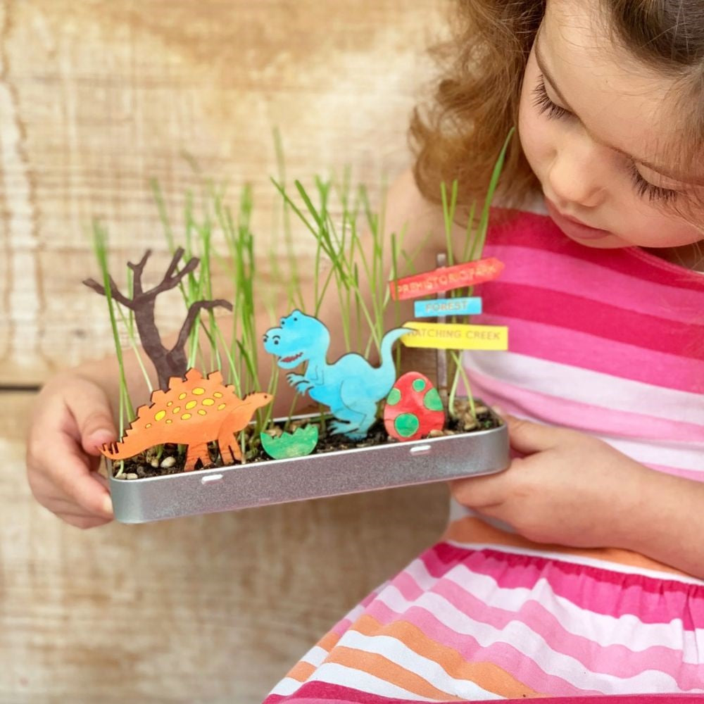 Cotton Twist Make Your Own Dinosaur Garden