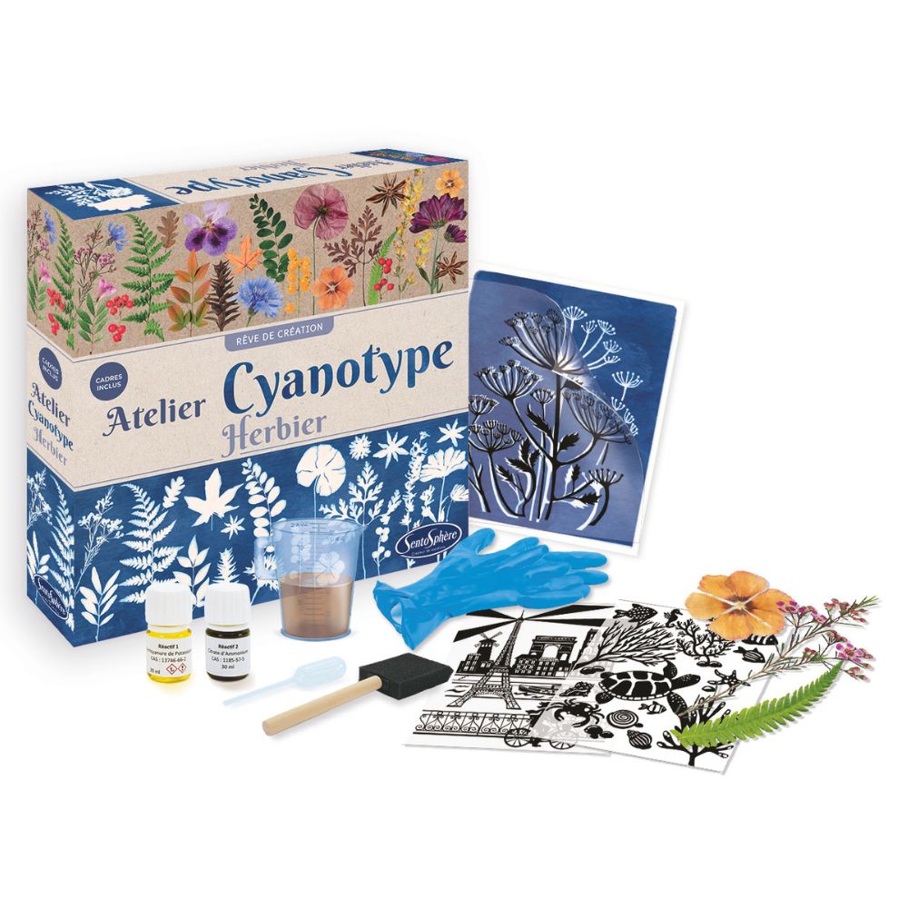 Sentosphere Cyanotype Workshop - Flowers