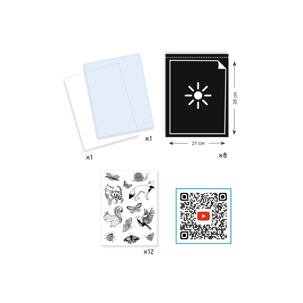 DJ09339 - Djeco Cyanotype Starter Set for ages 7-99 yrs