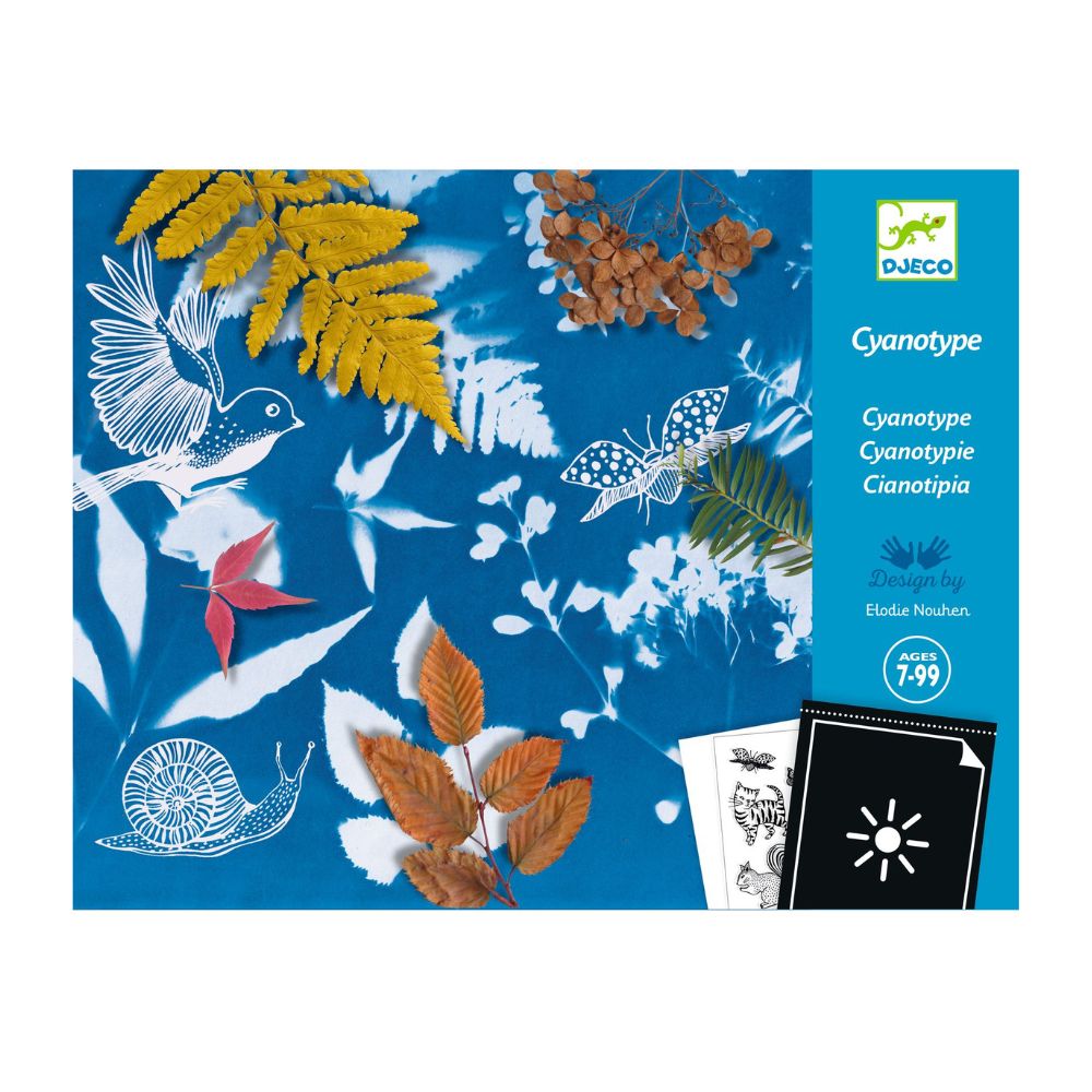 DJ09339 - Djeco Cyanotype Starter Set for ages 7-99 yrs