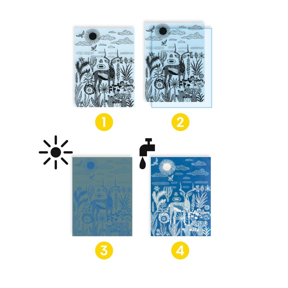 DJ09343 - Djeco Cyanotype Night-Time In The Savannah for ages 7-99 yrs