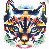 Daler Rowney Simply Gouache Cat Activity Set