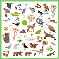 Djeco Stickers - Fauna