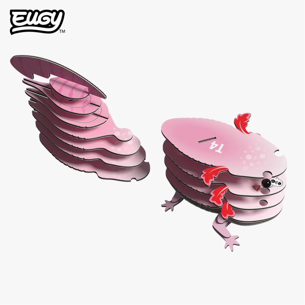 EUGY Axolotl - Kids Cardboard Craft Kit
