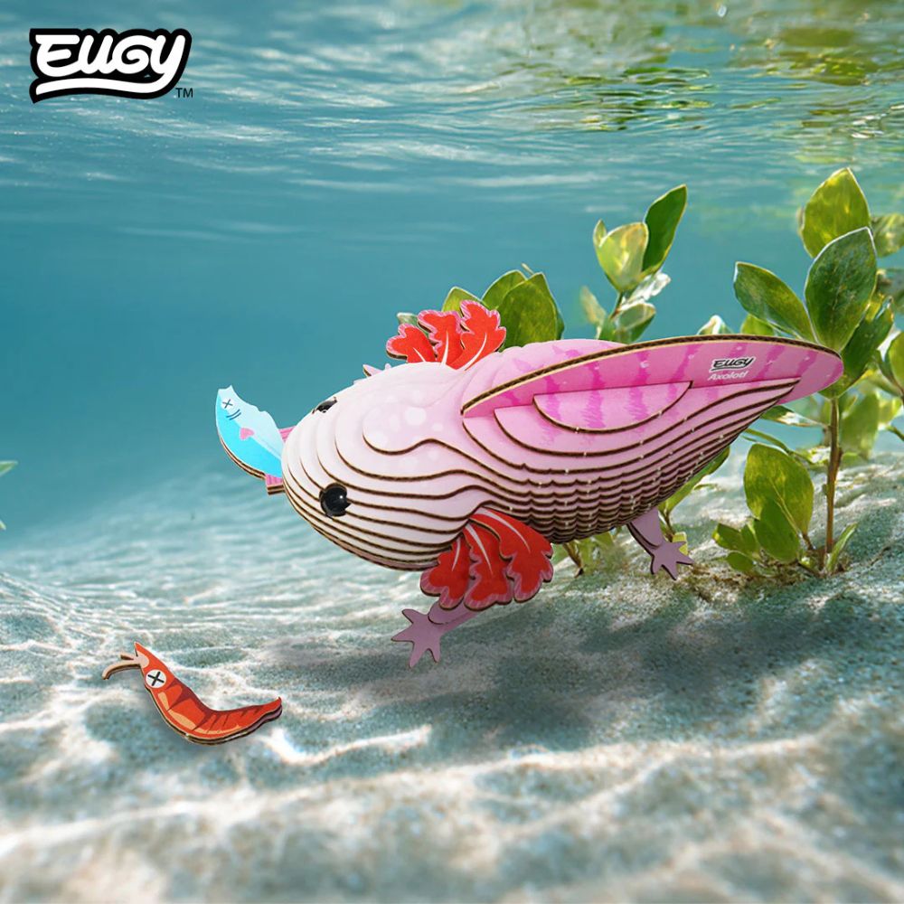 EUGY Axolotl - Kids Cardboard Craft Kit