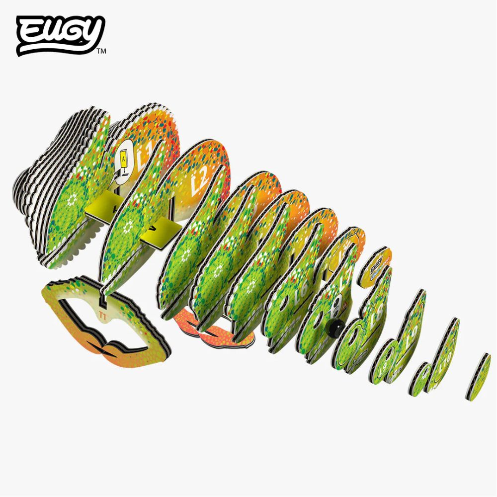EUGY Chameleon - Kids Cardboard Craft Kit