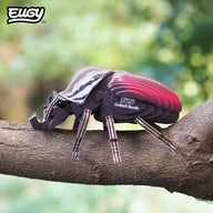 EUGY Goliath Beetle - Kids Cardboard Craft Kit