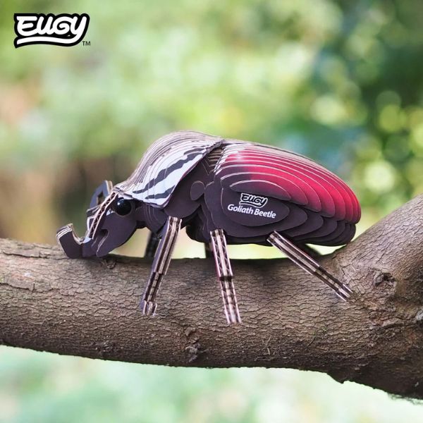 EUGY Goliath Beetle - Kids Cardboard Craft Kit
