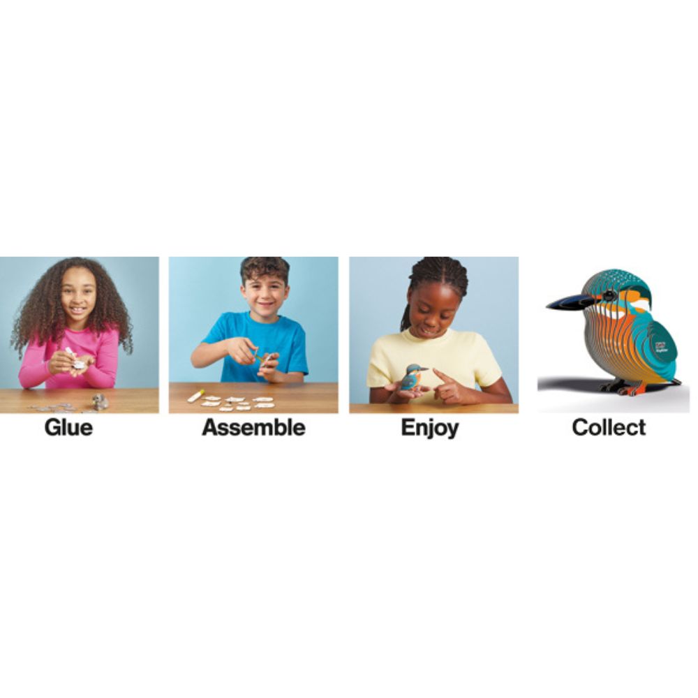 EUGY Kingfisher - Kids Cardboard Craft Kit