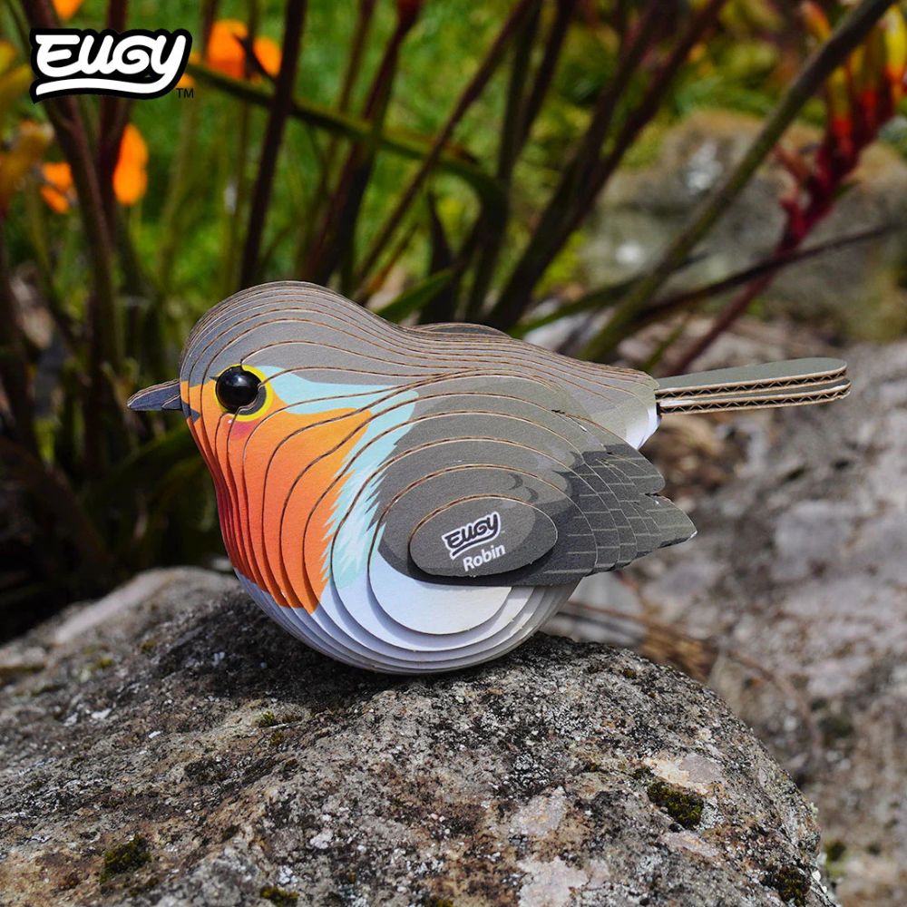 EUGY Robin - Kids Cardboard Craft Kit