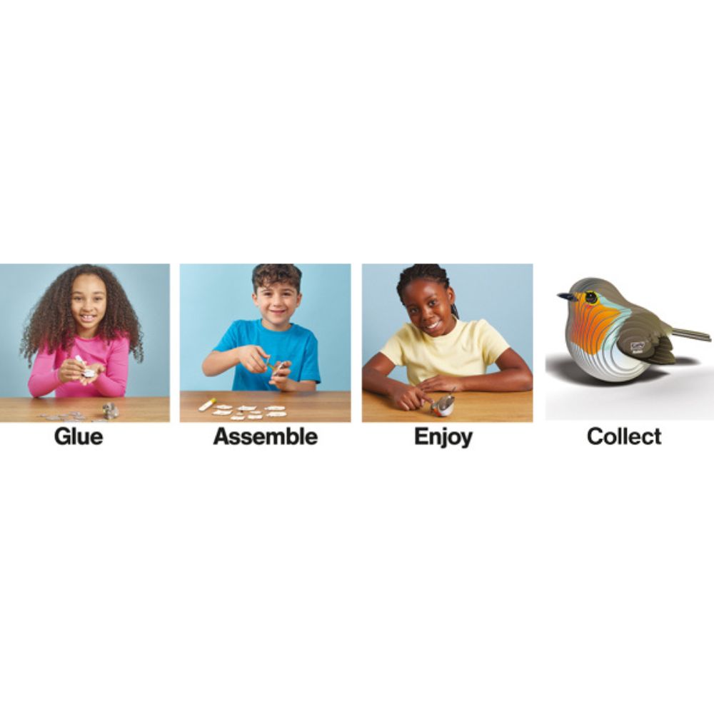 EUGY Robin - Kids Cardboard Craft Kit