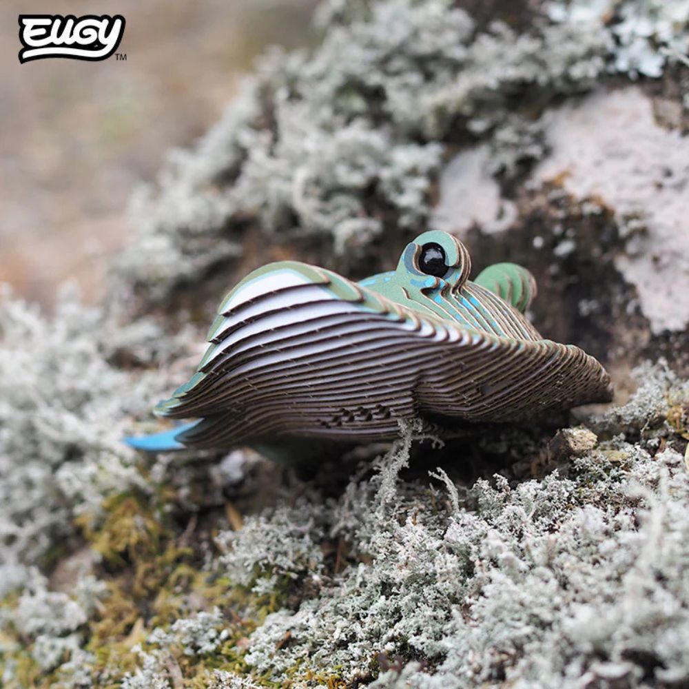 EUGY Stingray - Kids Cardboard Craft Kit