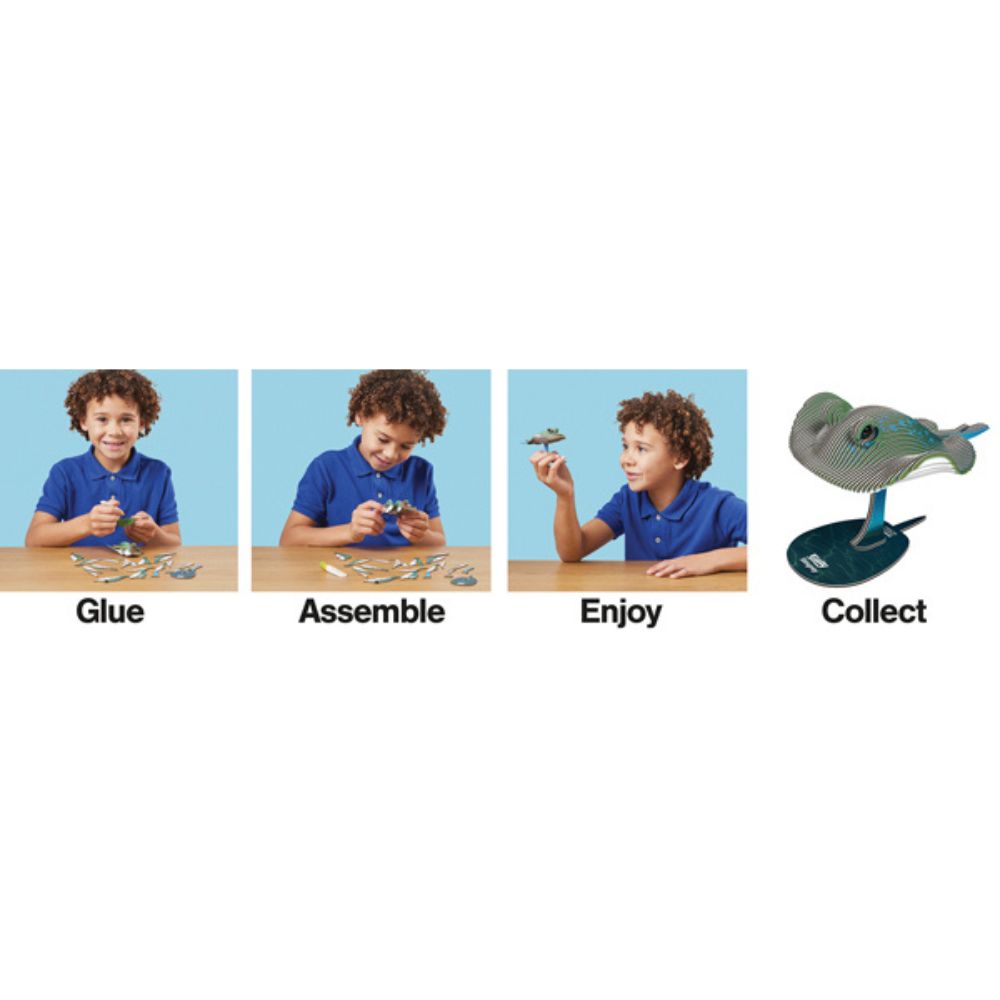 EUGY Stingray - Kids Cardboard Craft Kit