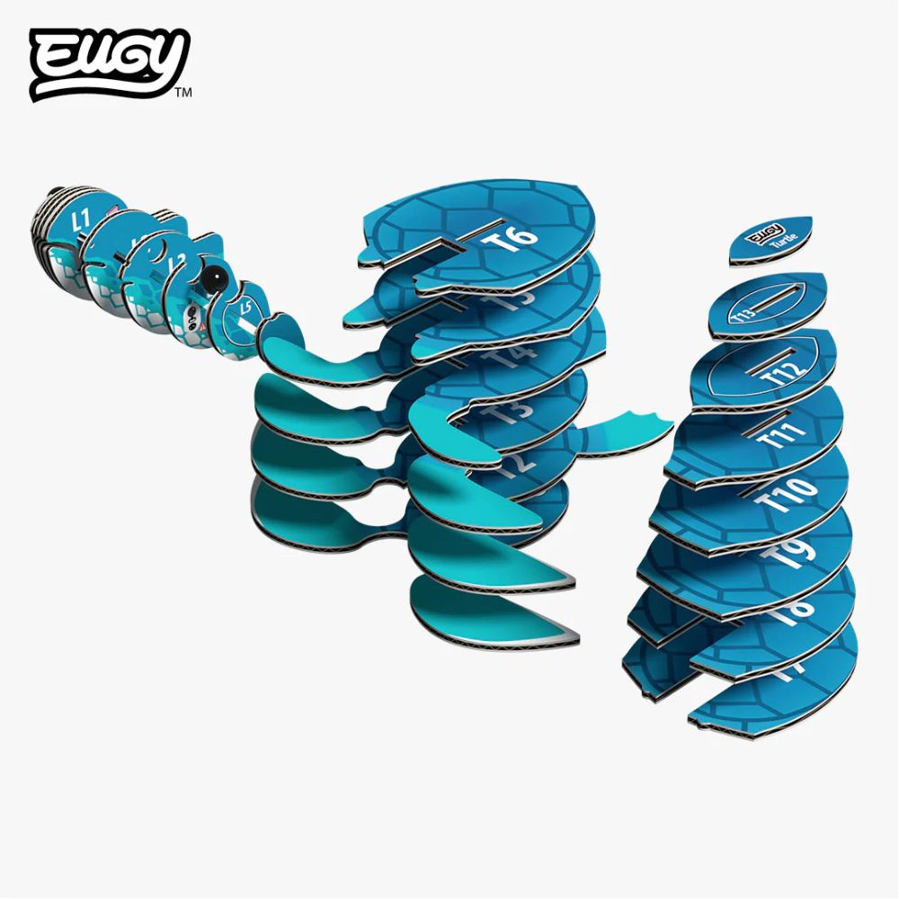EUGY Turtle - Kids Cardboard Craft Kit