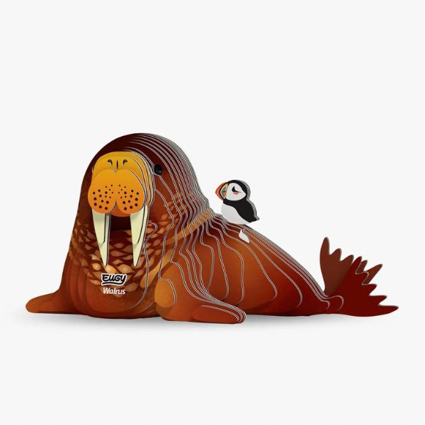 EUGY Walrus - Kids Cardboard Craft Kit