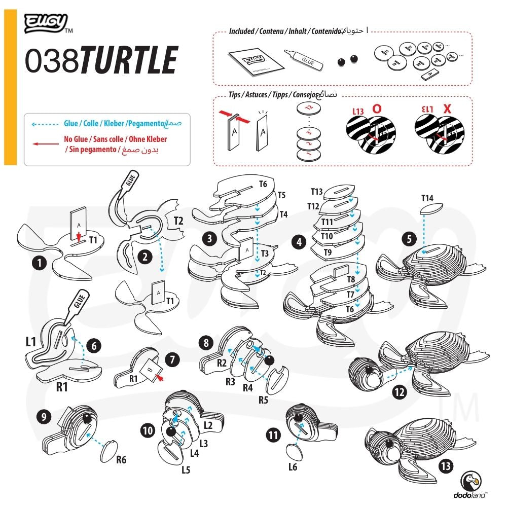 EUGY Turtle - Kids Cardboard Craft Kit