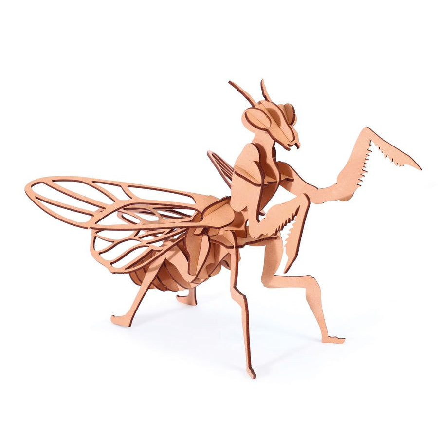 Graine Creative 3D Wooden Model Kit - Praying Mantis
