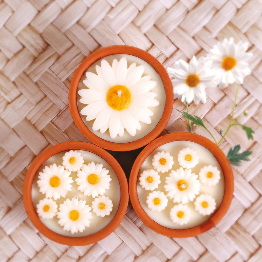 Beginners Candle Making Kit - Daisy Terracotta Pots