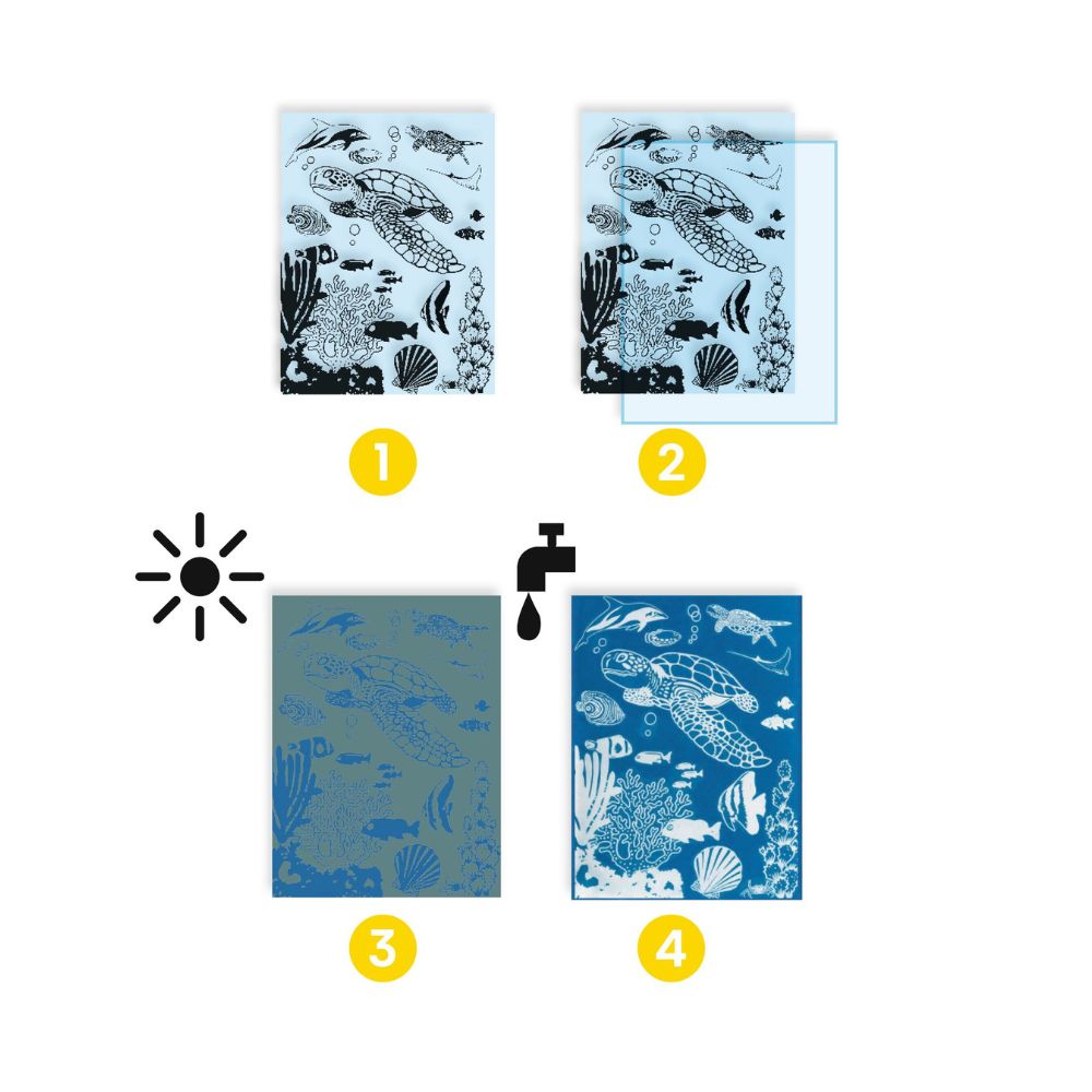 Kids Craft Kits - Djeco Cyanotype Ultramarine Set