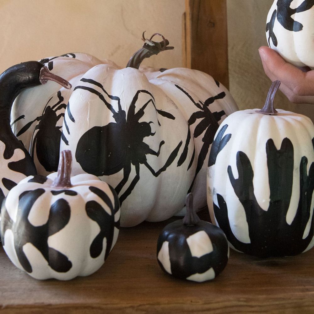 LoLA Spooky Spiders and Scary Skulls Art Box