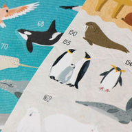 Londji Animal World Poster & Stickers - Educational Craft for Kids 4+