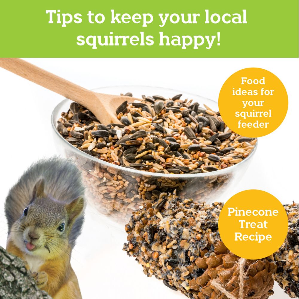 MindWare Make Your Own Squirrel Feeder