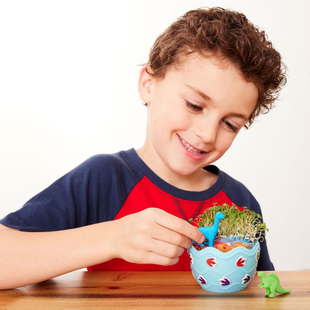 Dinosaur Terrarium Kit