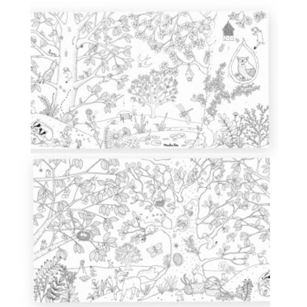 Giant Nature Colouring Poster 150 x 45cm