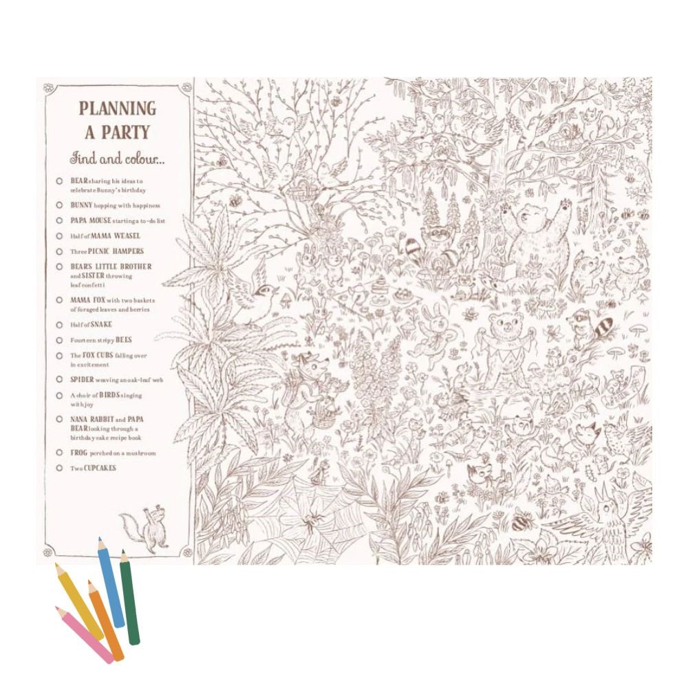 Brown Bear Wood Colouring & Observation Book
