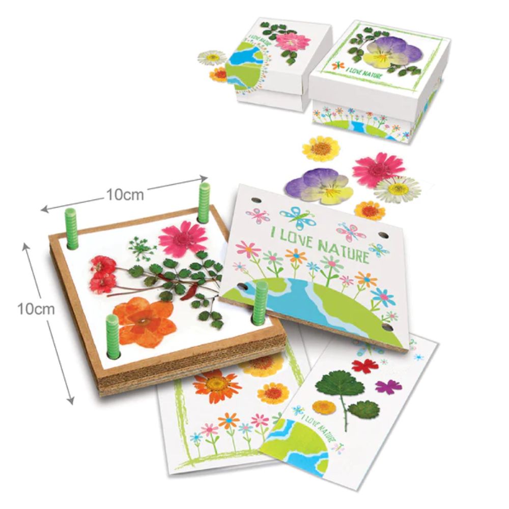 4M Pressed flower art