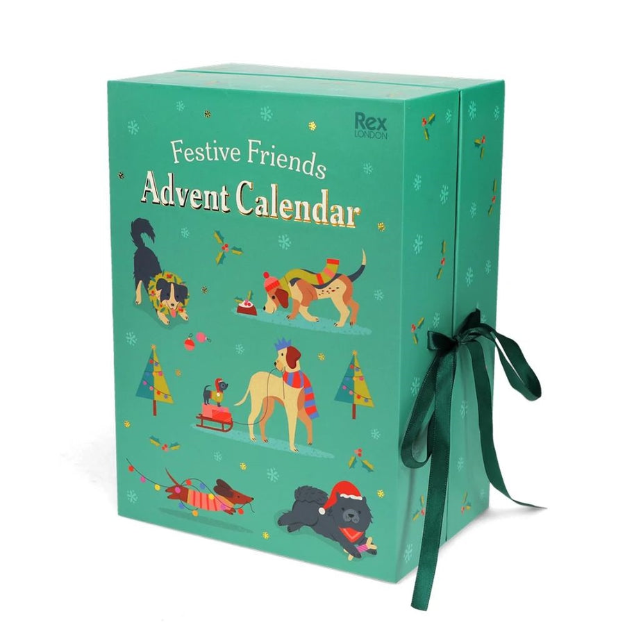Christmas advent calendar