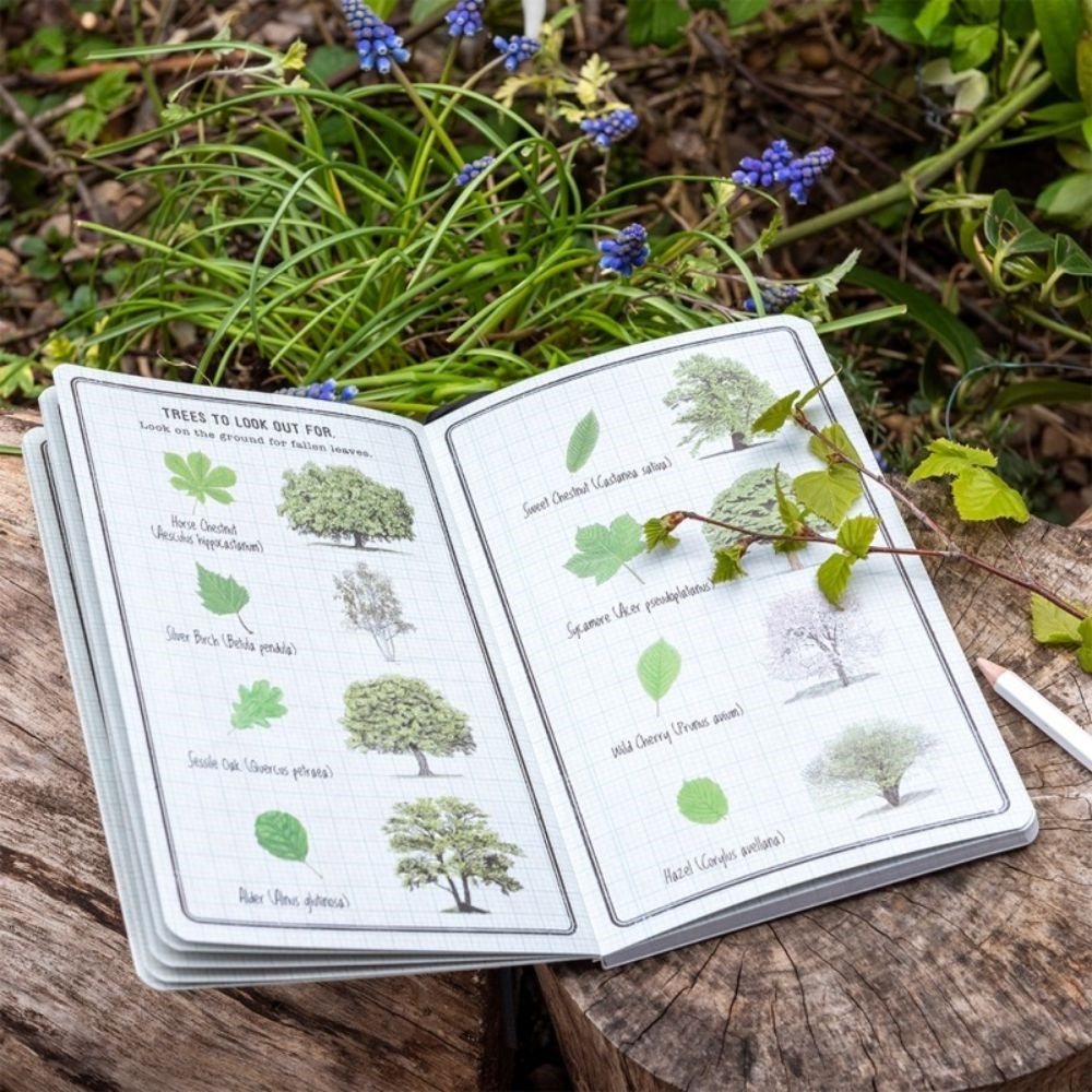 Nature Trail Journal for Kids
