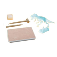 Glow In The Dark T-Rex Excavation Kit